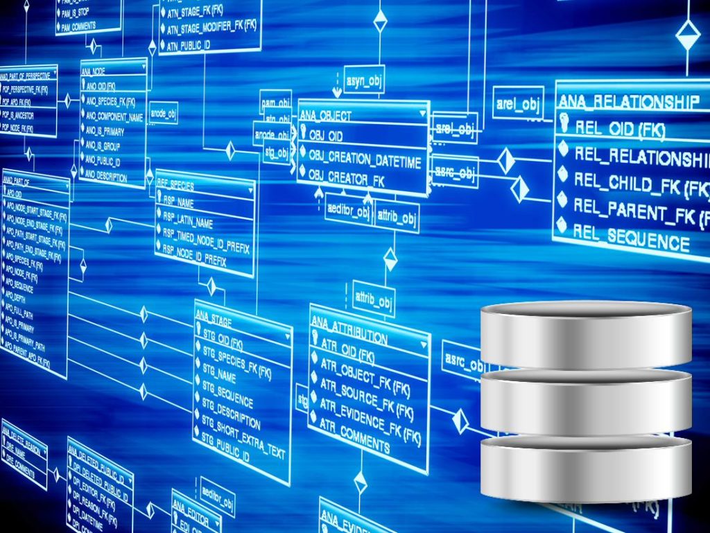 https://en.itpedia.nl/2020/01/20/de-relationele-database-het-hart-van-saas/